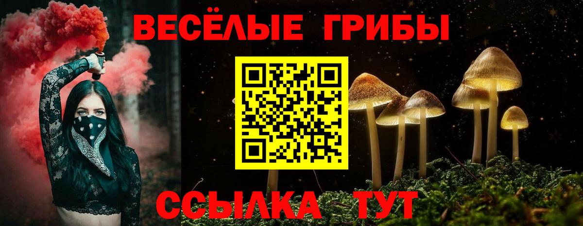 что такое наркотик  Вход с VPN  Бугуруслан  Галлюциногенные грибы GOLDEN TEACHER  Псилоцибиновые грибы ЛСД 