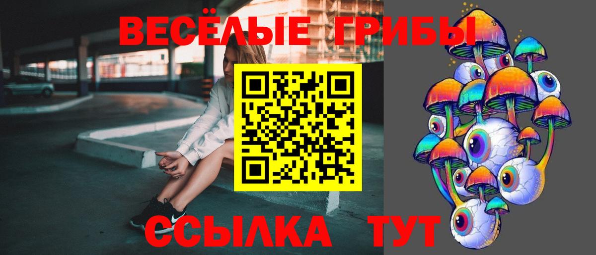 Псилоцибиновые грибы Cubensis Бугуруслан